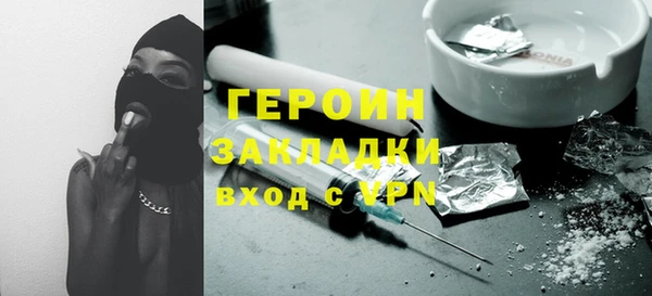 тгк Дмитриев