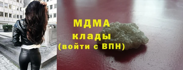тгк Дмитриев