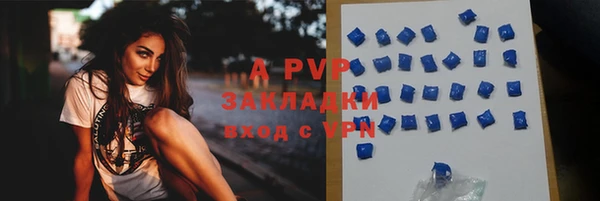 тгк Дмитриев