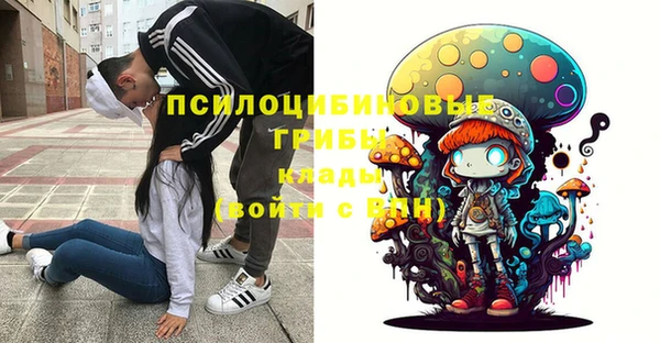 тгк Дмитриев