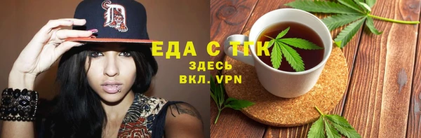 тгк Дмитриев
