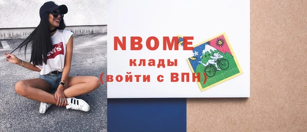 тгк Дмитриев