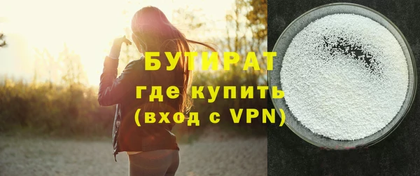 тгк Дмитриев