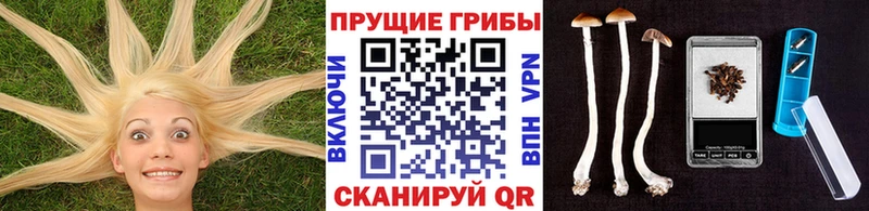 Галлюциногенные грибы MAGIC MUSHROOMS  Купить закладки  Цоци-Юрт 