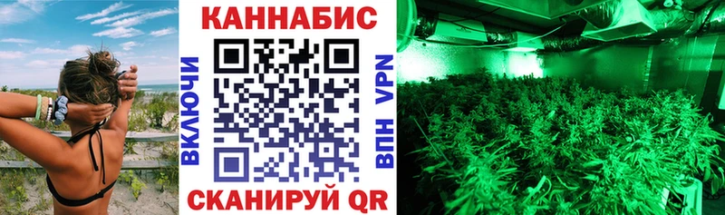 Канабис ГИДРОПОН Цоци-Юрт